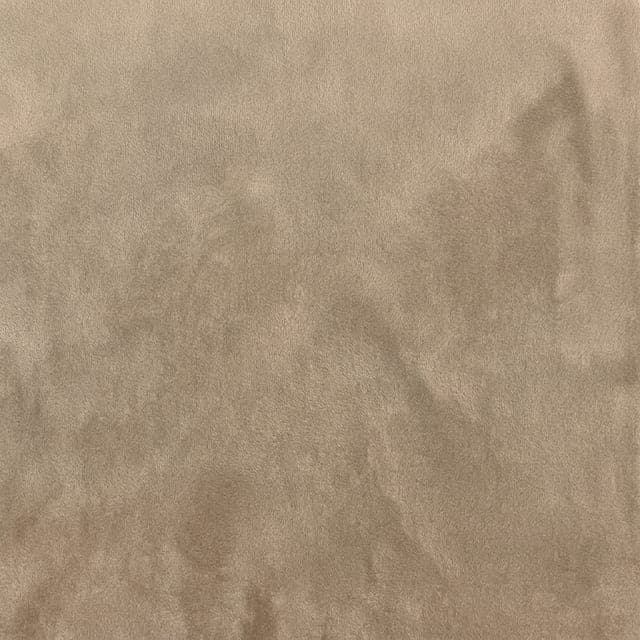 Warm Parchment